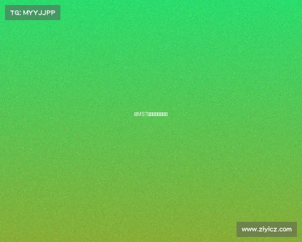 《MST战队征程新篇》》